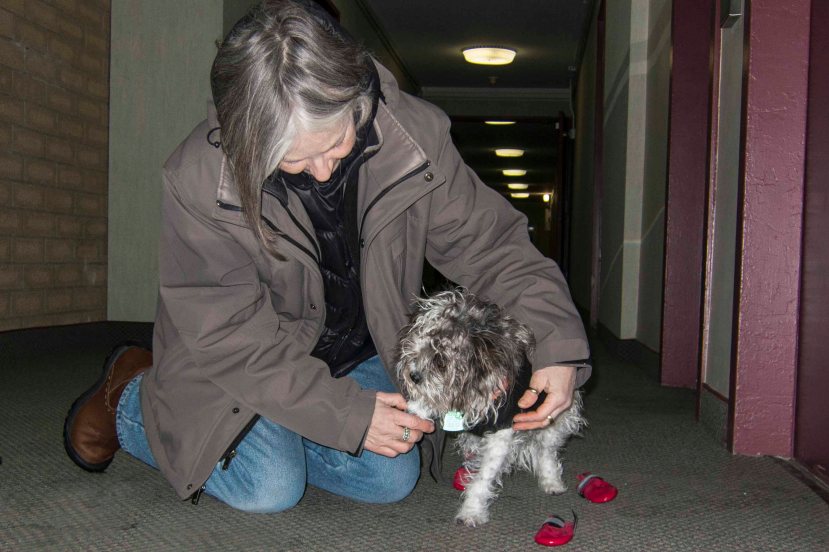 IMG_5763 Bailey debooted