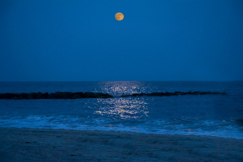 Moon and sea 8x10 240DSC_0341 copy