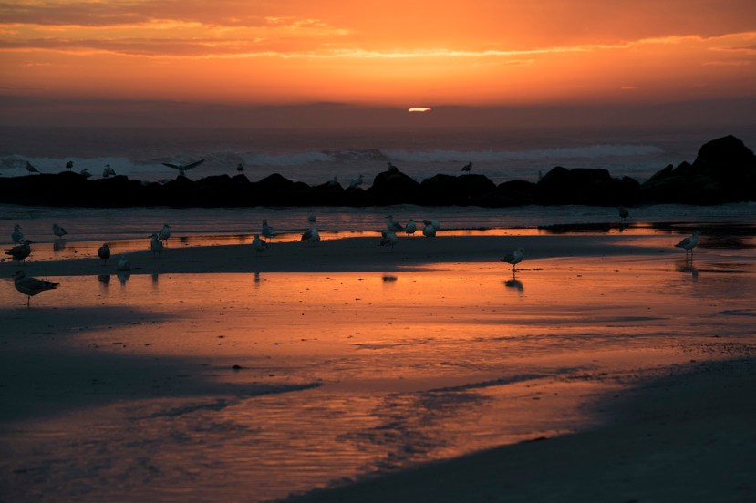 Deep color sunset and sandDSC_7503