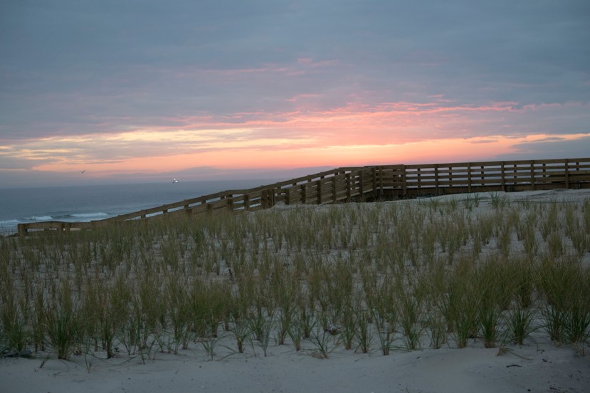 Dune and dune walkDSC_7508