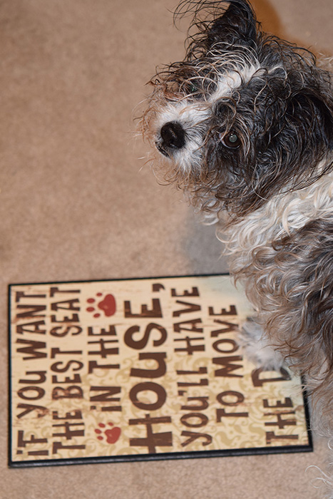 Bailey sign 1 DSC_9339