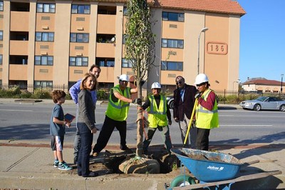 Tree planting Long Beach NYDSC_0523