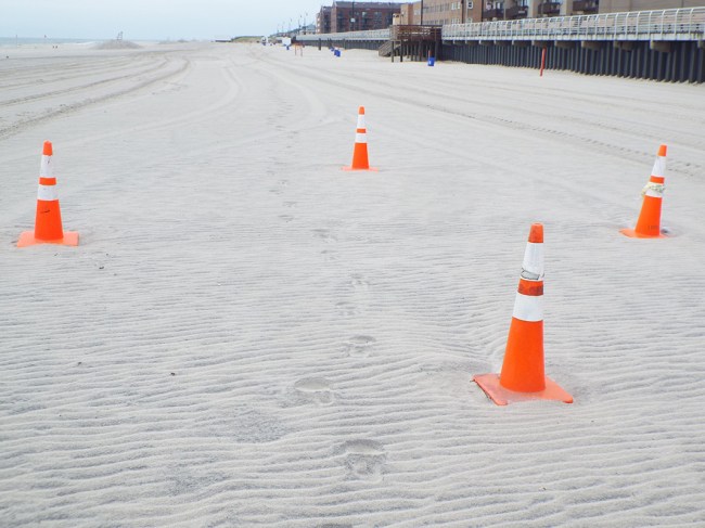 Empty nest w footprints DSCF7065