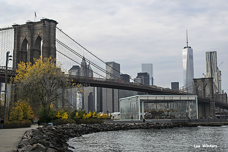 Bklyn Brdge bright yellDSC_7623 copy.jpg