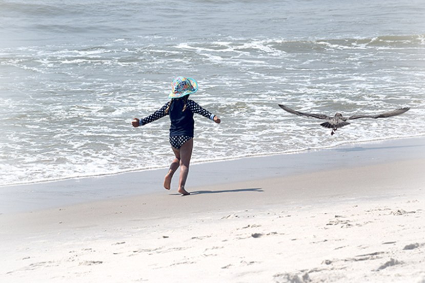gull-w-tot-dsc res 150 vign_7274.jpg