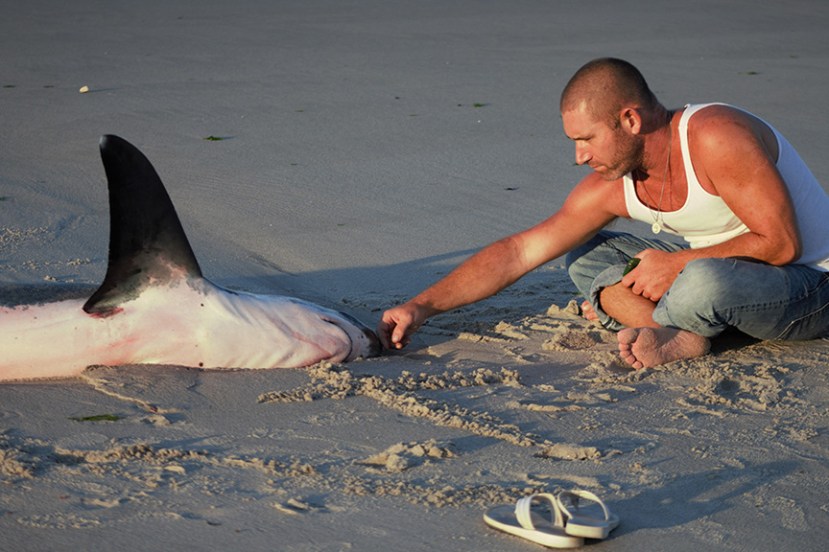 Anne B photo 2 IMG_3526 Peter-Shark.jpg