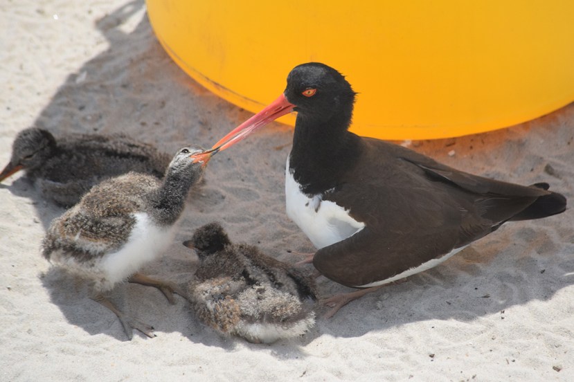 More please DSC_8676.jpg