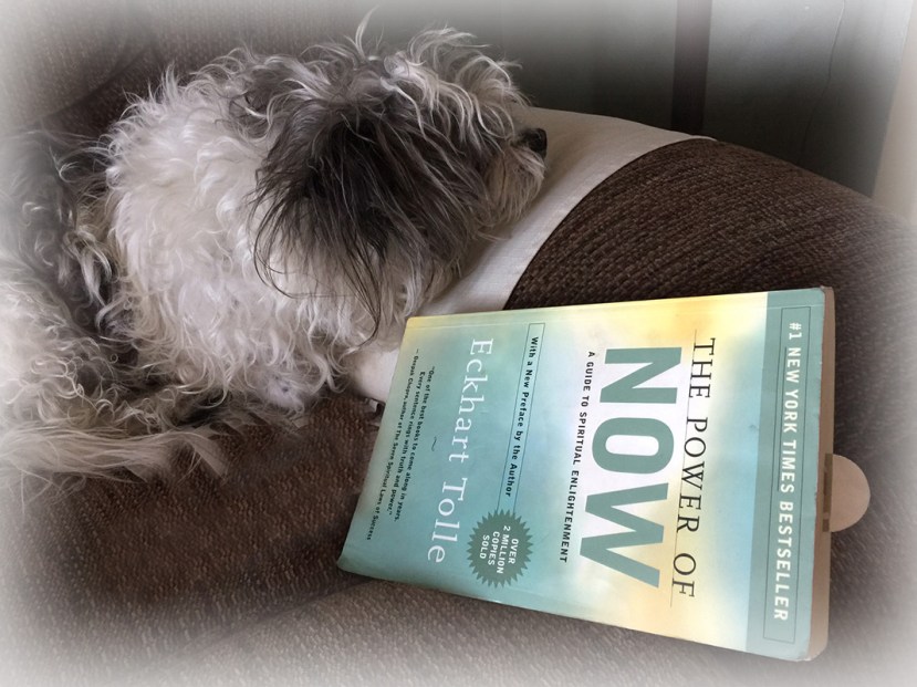 Bails and Now vign 1  IMG_8210.jpg