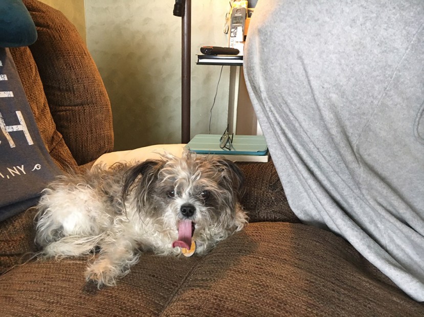 Crack kills 1 IMG_1510.jpg