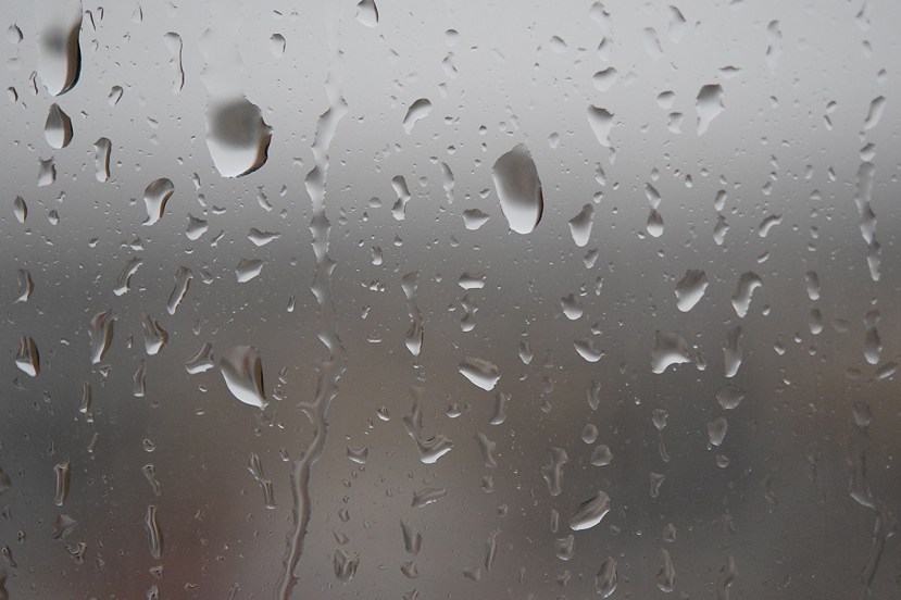 raindrops on window DSC_5366.jpg