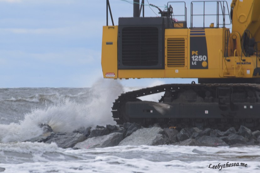 crane in water DSC_9616.jpg
