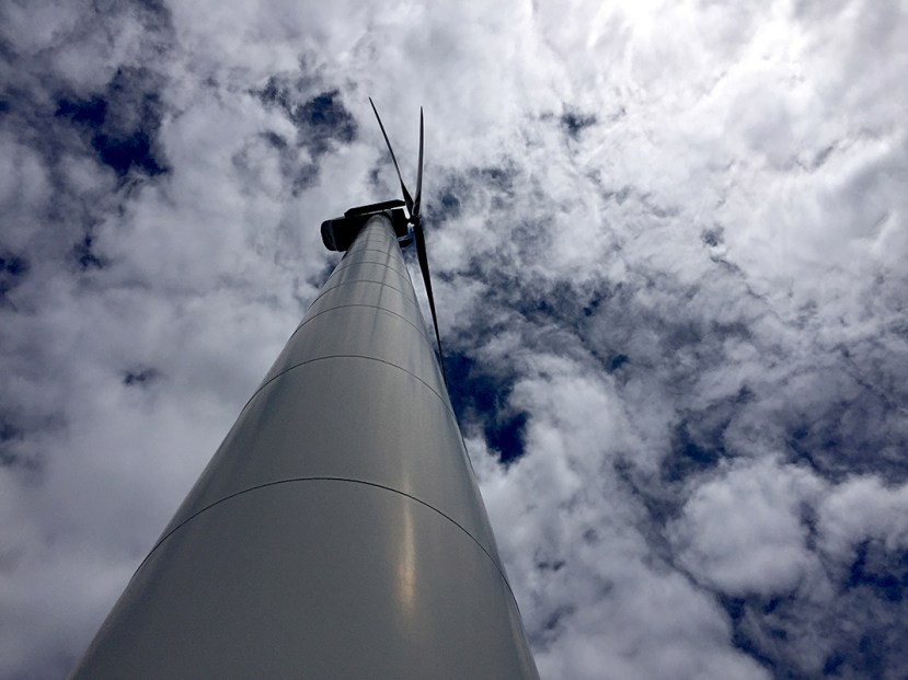 sunny turbine 2IMG_9244.jpg