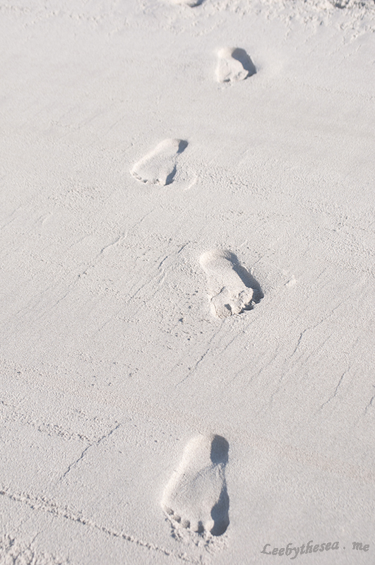 Feet in sand 8x 5100 resDSC_0281.jpg