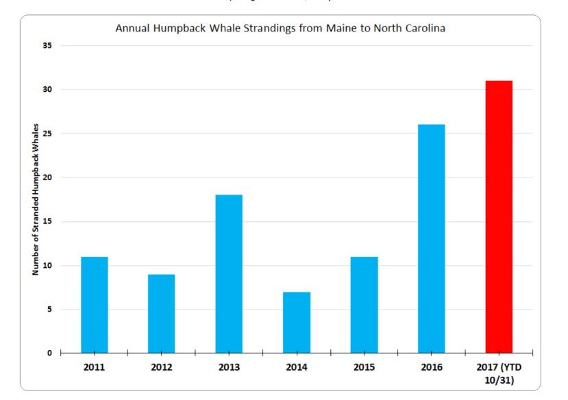 Strandings graph2017-11-29 at 1.46.13 PM copy