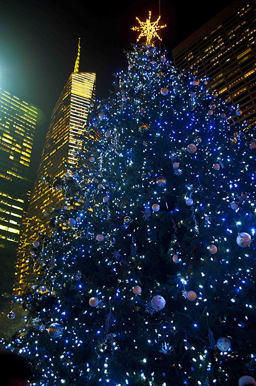 DSC_3591 5x7 100 .jpg