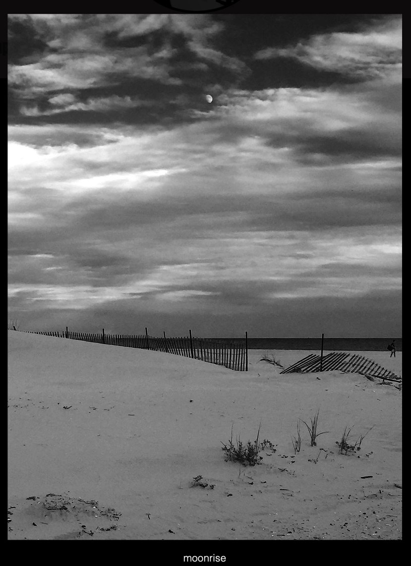 Lisa's moonrise 2018-10-22 at 12.36.09 PM copy