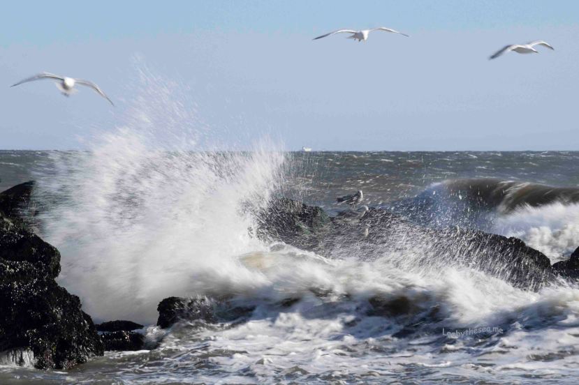 Best slo of day a DSC_7077.jpg