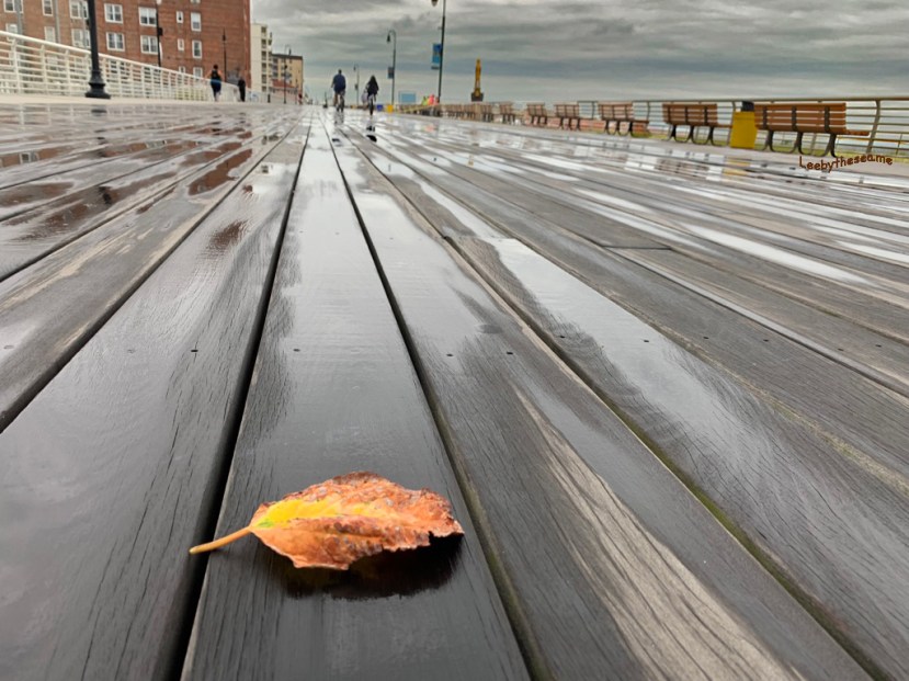 Leaf on the boards.jpg