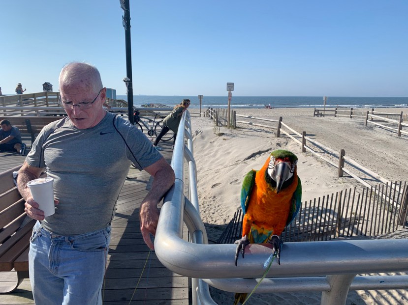 Mike Lee and Charlie 2.jpg