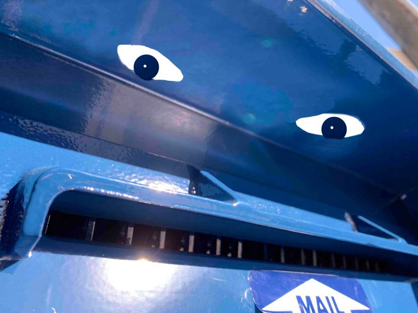 Shark Fierce eye'd slot jpg.jpg