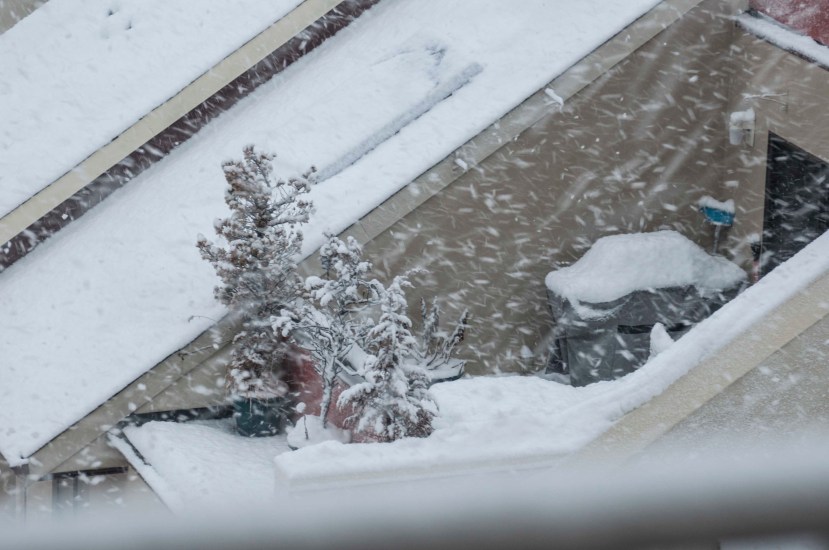 Snow terrace and treesDSC_6163.jpg