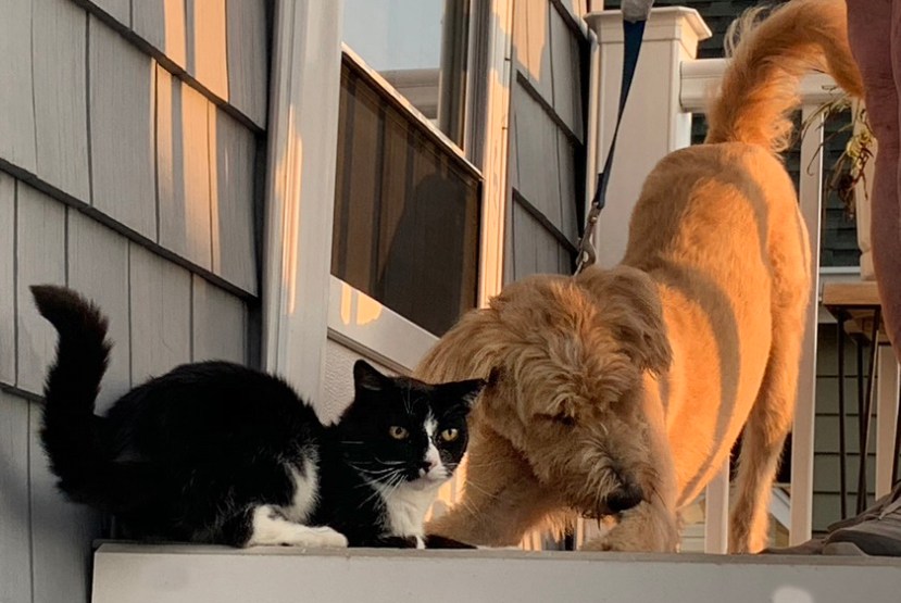 Fiona and Jenner side by side