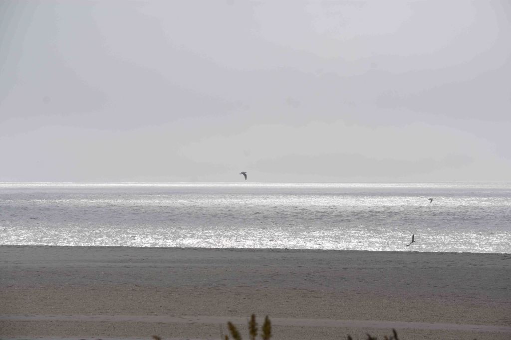 This image has an empty alt attribute; its file name is sun-splayed-on-the-sea-dsc_5685.jpg